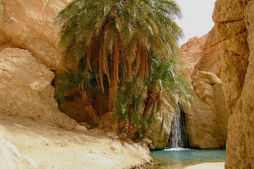 Chebika-Oasis-Tunisia