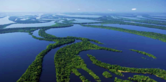 Tecnologias para monitoramento de água são instaladas em reservas na Amazônia