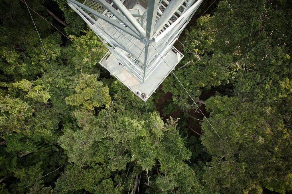 Torre de observação