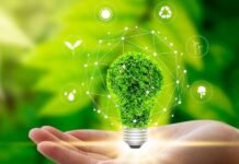 Como investir de forma sustentável