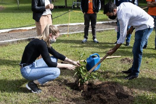 Bibi plantará mais de 3 mil árvores após campanha de "Eco Friday"