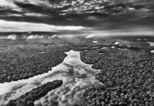 Acervo Sebastião Salgado